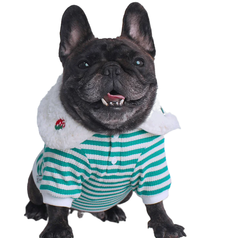 Осенне-зимняя одежда для щенков мопса корги, утепленная флисом одежда для собак, плюшевый мишка, одежда для французского бульдога Сиба-ину среднего размера - 0