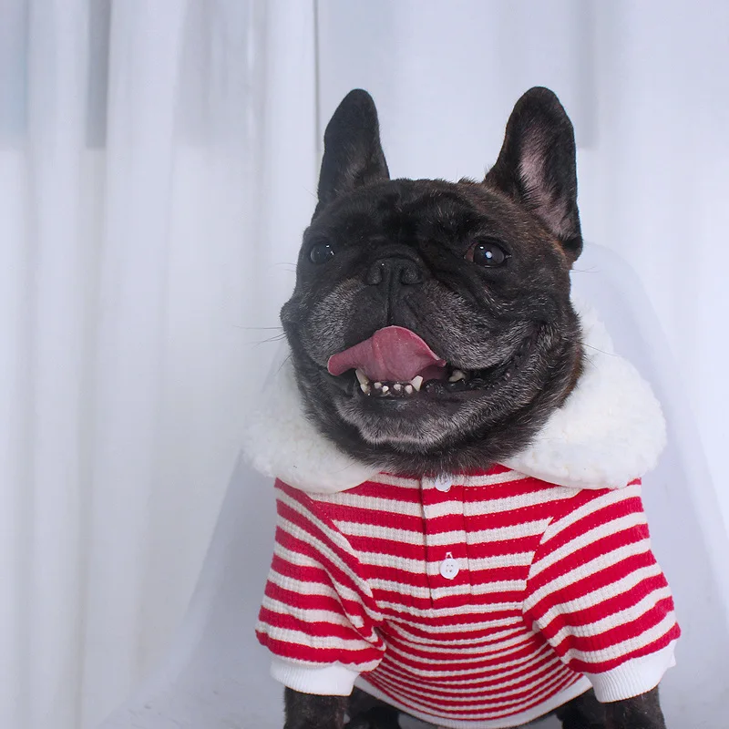 Осенне-зимняя одежда для щенков мопса корги, утепленная флисом одежда для собак, плюшевый мишка, одежда для французского бульдога Сиба-ину среднего размера - 1
