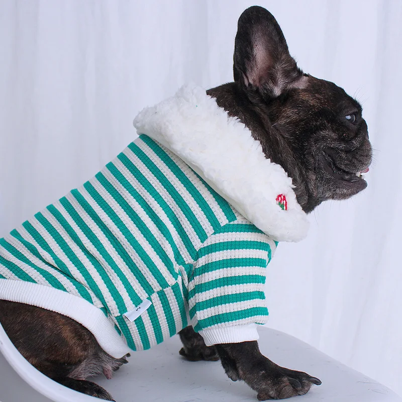 Осенне-зимняя одежда для щенков мопса корги, утепленная флисом одежда для собак, плюшевый мишка, одежда для французского бульдога Сиба-ину среднего размера - 3