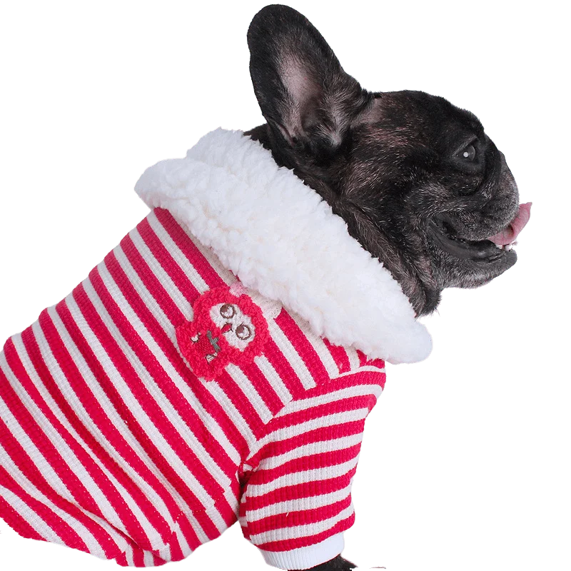Осенне-зимняя одежда для щенков мопса корги, утепленная флисом одежда для собак, плюшевый мишка, одежда для французского бульдога Сиба-ину среднего размера - 5