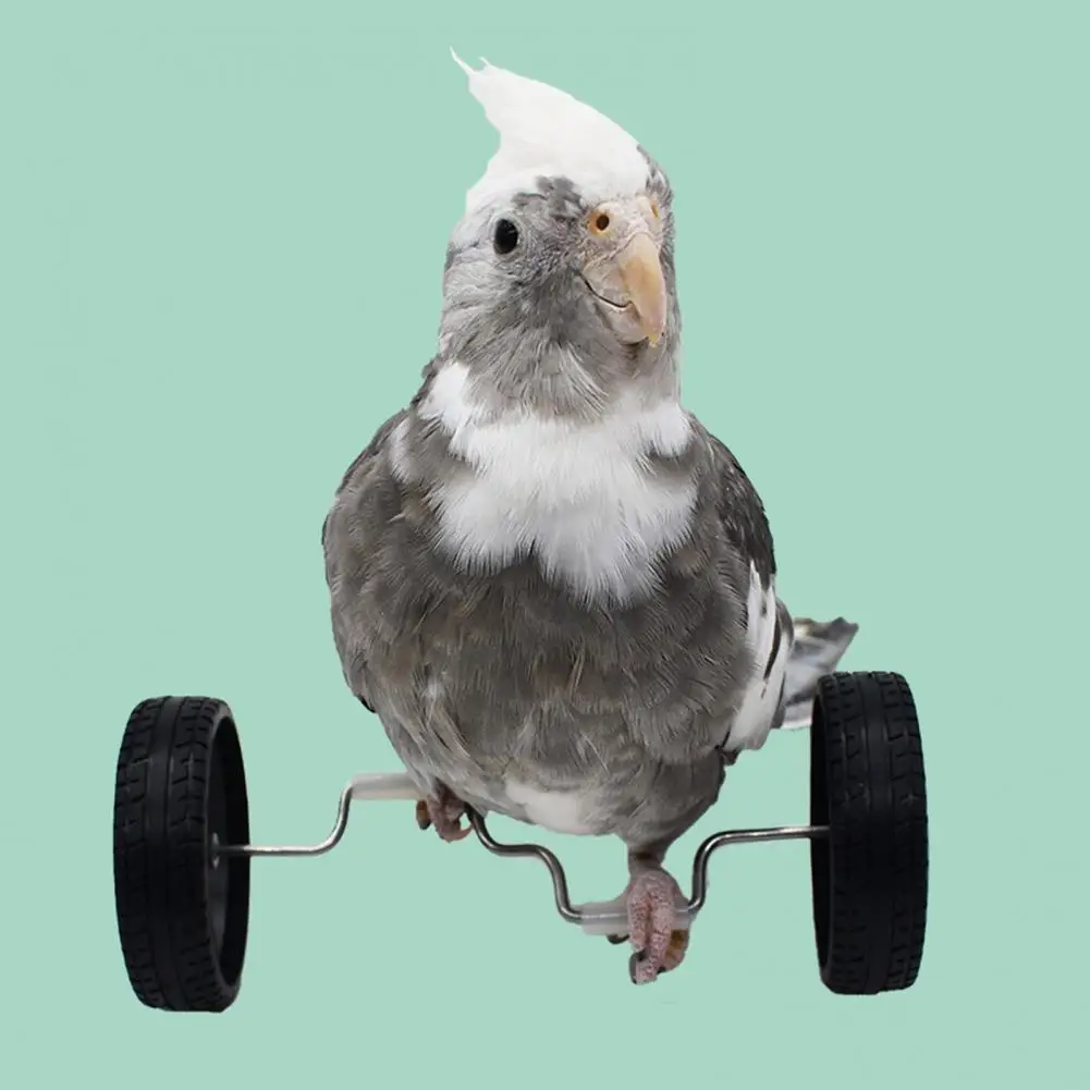 Игрушка для попугая, игрушка для балансировки попугая, игрушка для дрессировки домашних животных, мини-двухрядные роликовые коньки для попугаев, повышающие интеллект птиц - 3