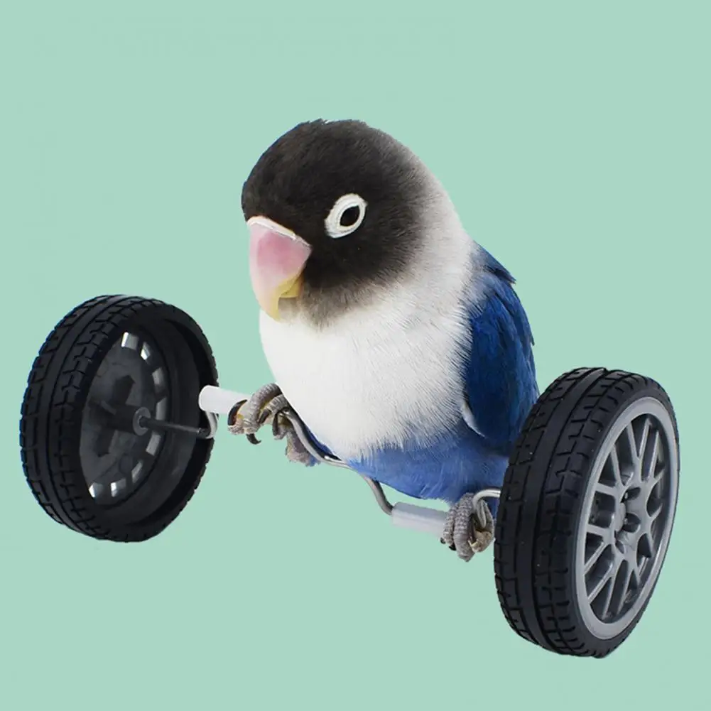 Игрушка для попугая, игрушка для балансировки попугая, игрушка для дрессировки домашних животных, мини-двухрядные роликовые коньки для попугаев, повышающие интеллект птиц - 4