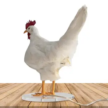 Лампа для яиц, несущая курицу, Настольная лампа с петухом, лампа для курицы с лампочкой для яиц, 3D Милый детский ночник для спальни, гостиной