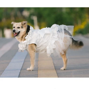Модное кружевное свадебное платье для собак, юбка принцессы, Шнауцер Корги, Золотистый Ретривер, Одежда для больших собак, товары для домашних животных